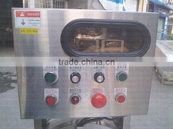 TW-806 electric vegetable dicer machine