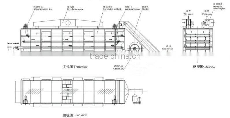 Continuous Hot Air Spinach Drying Machine Belt Dryer