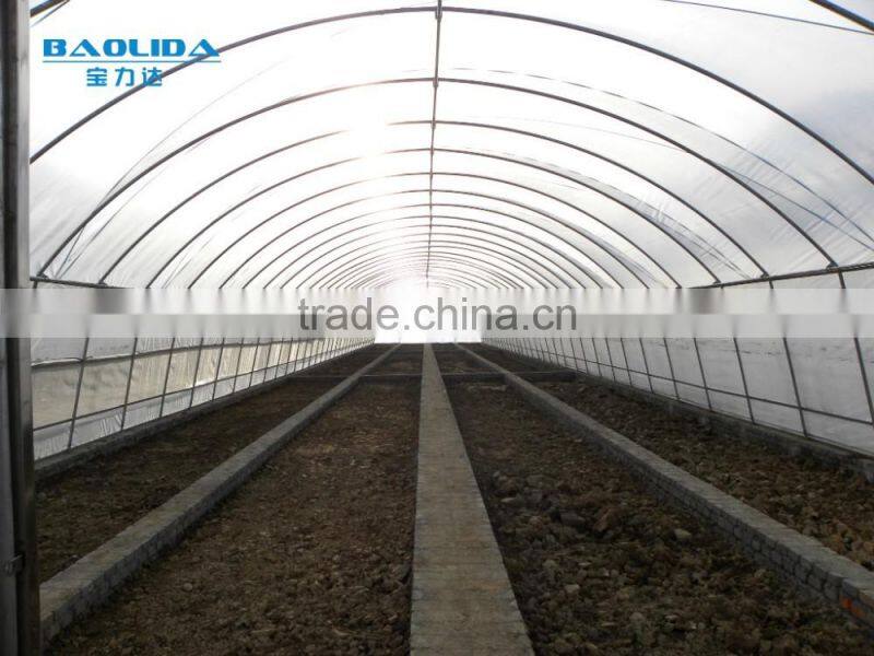 baolida simple tunnel green house