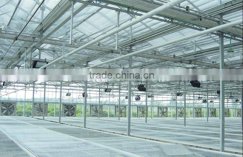 Sunshine ecological glass greenhouse