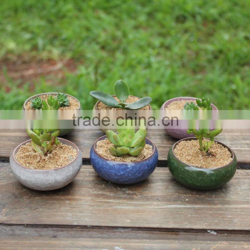 Garden cracked ice succulent plants porcelain flower pot