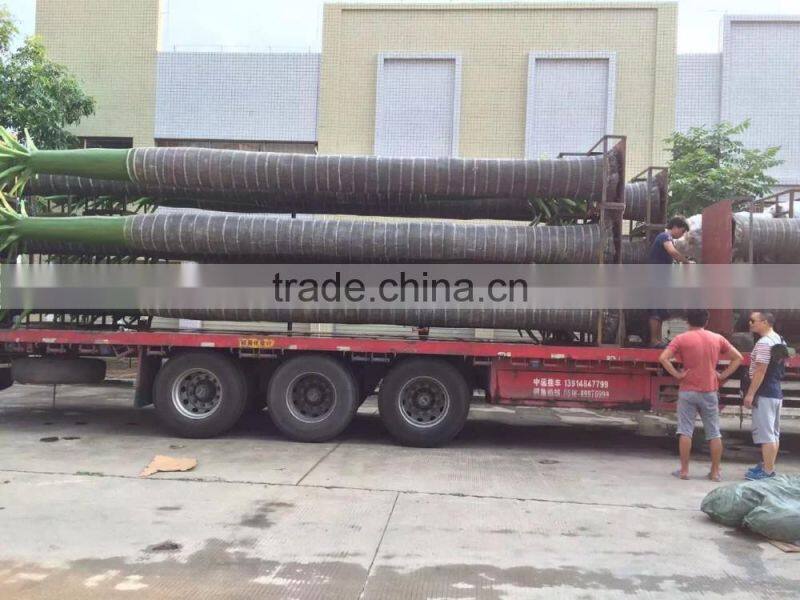 Outdoor UV resistance date palm tree for building decoration