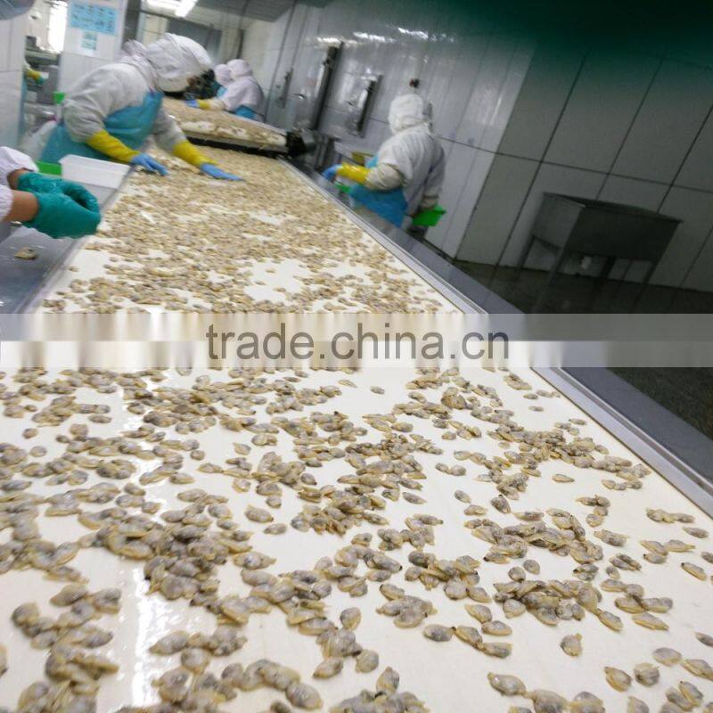 HIGH QUALITY AND HIGH QUANTITY SUPPLY FOR CLAM MEAT