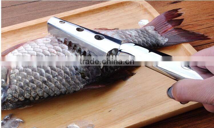 FGS-13 FISH SCALE SCRAPER