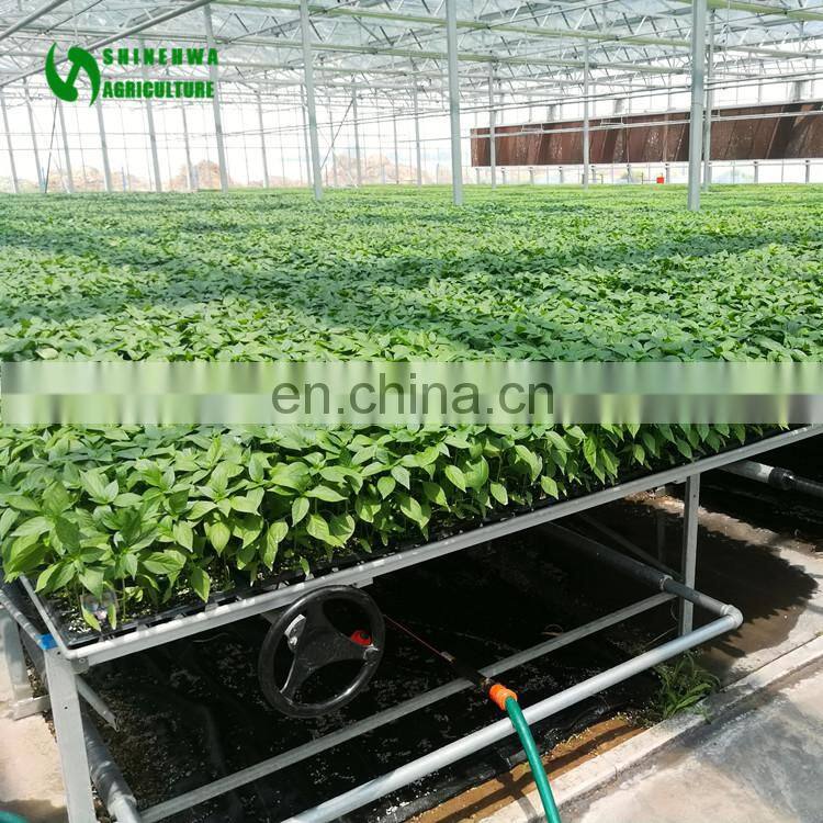 Nursery Equipment Planting Table Greenhouse For Agricultural