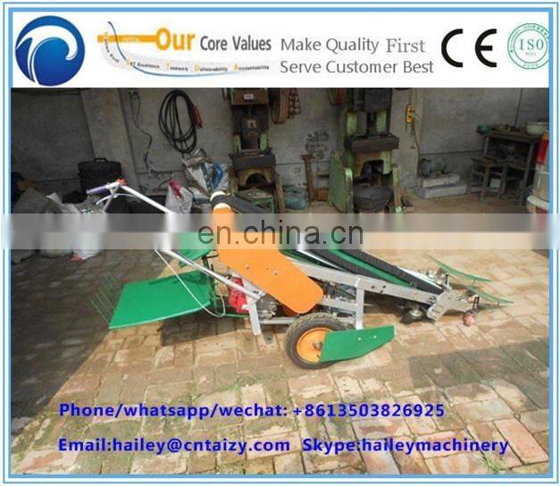 Taizy Chinese chives havesting machine leek/celery harvester machine for sale