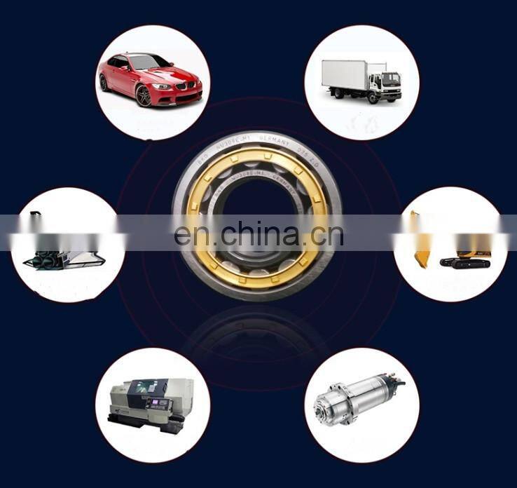 Cylindrical Roller bearing SC050615VC3  C3 Automotive 25x62x15.5mm