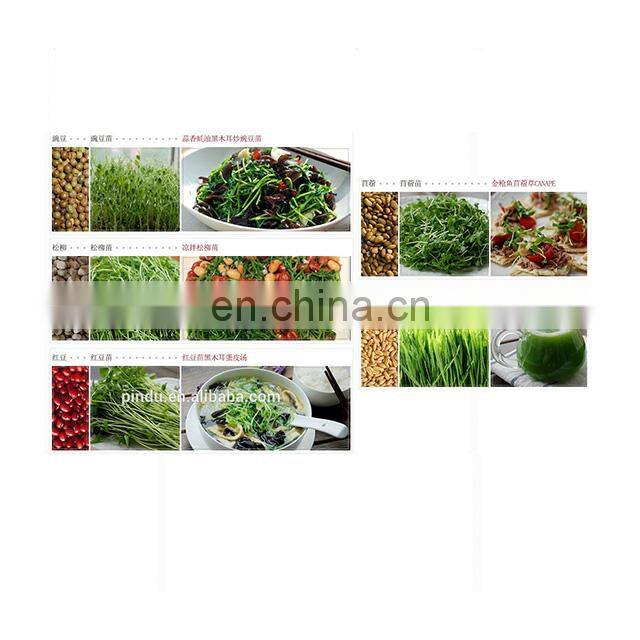 Automatic stainless steel bean sprout process machine