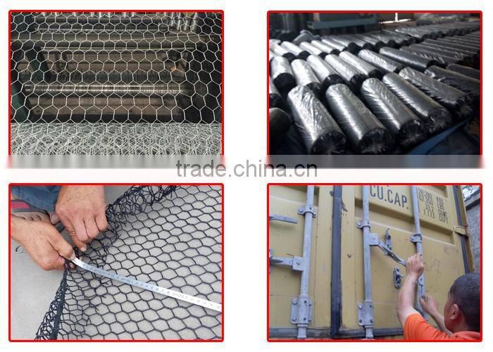 Hex netting 20 gauge 1" and 2" mesh GBW Galvanized Before