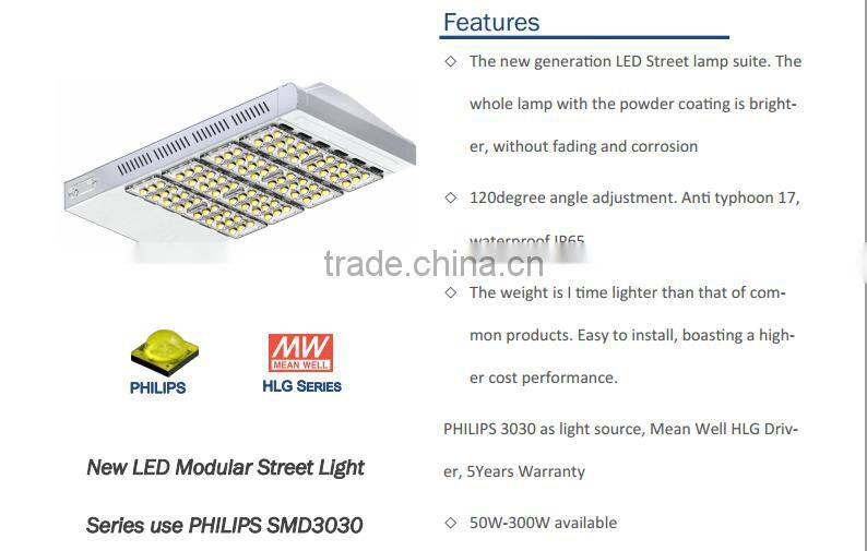 Mean Well Driver moudle led street light, led street lamp