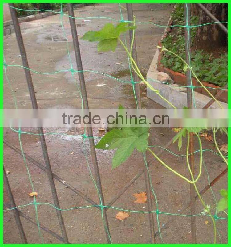 pure HDPE climbing plant supporting net