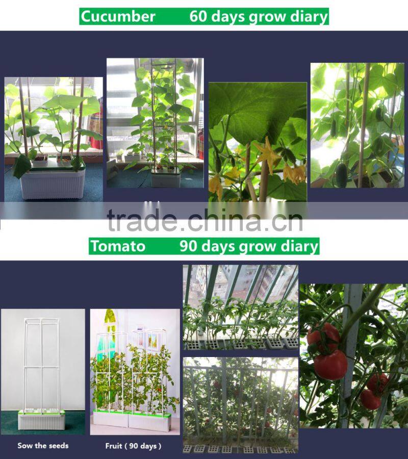 Easy operate folding plant pot