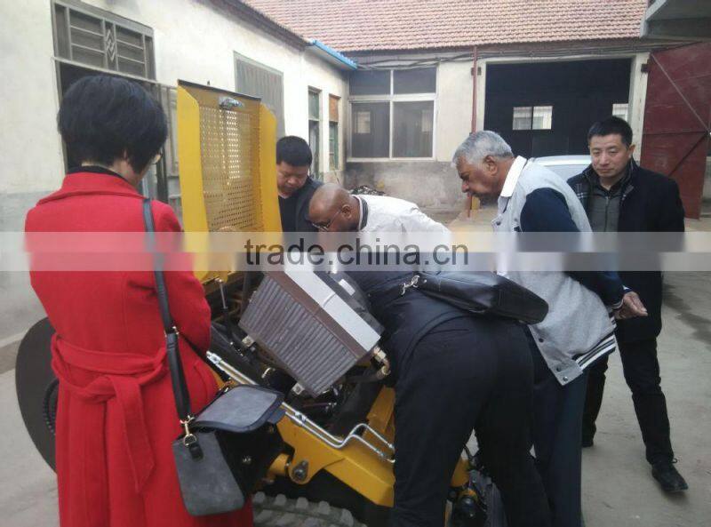 Mini Skid Steer Loader with Trencher Attachment/Angle Broom Attachment