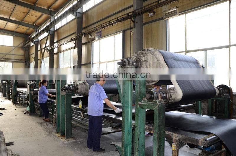 Ep200 Oil-Resistant Conveyor Belt / Rubber Belt