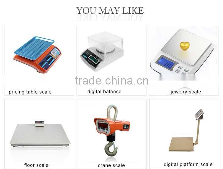 Easy Reading LCD Display Portable Travel Scales