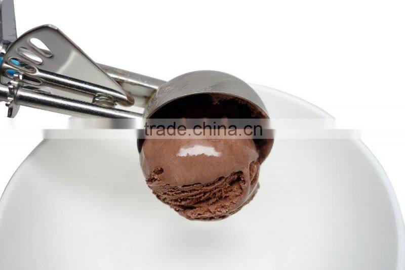 Stainless Steel Scoop With Plastic Handle
