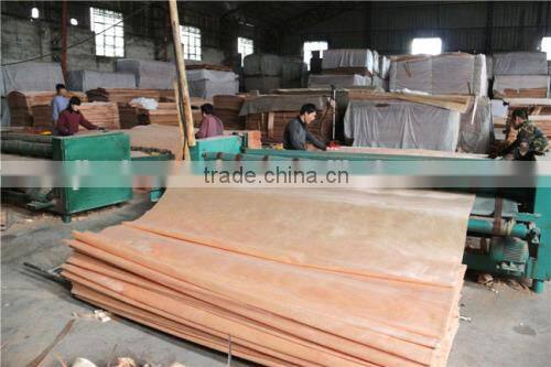 core veneer 1.7mm - 100% grade a