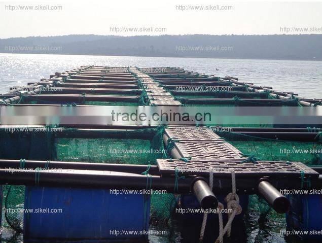 tilapia farm/catfish farm/trout farm/carp farm floating cage