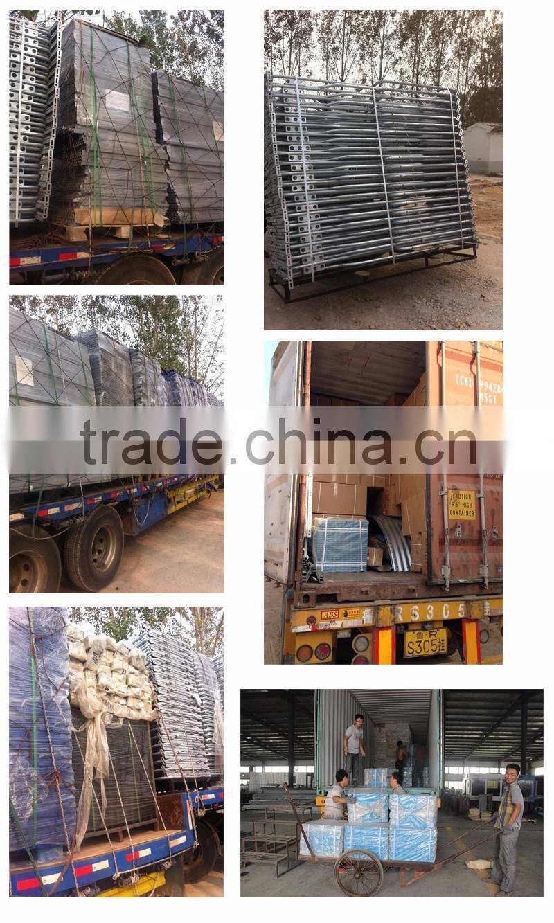 Poultry farming equipment for pig