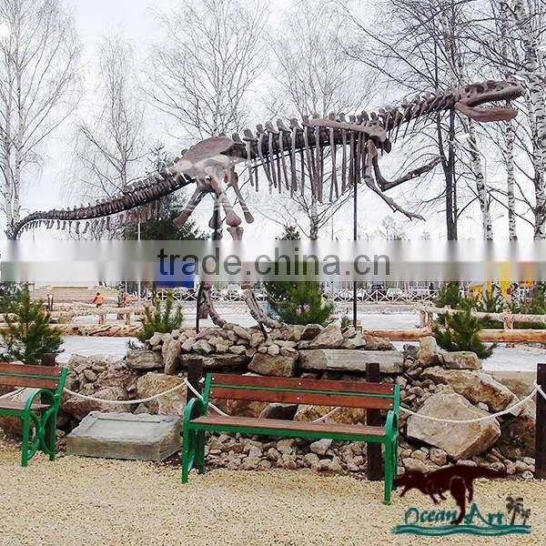 OA4016 high quality life size dinosaur skeleton model