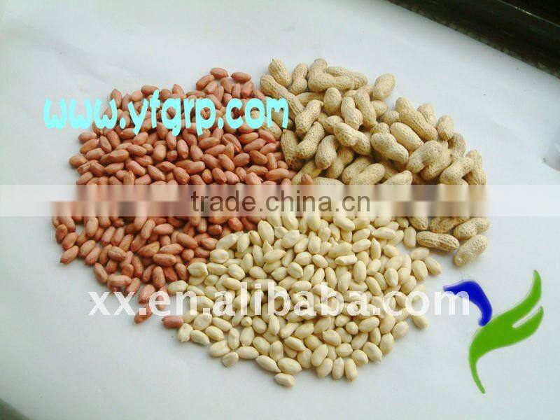 Blanched peanut kernels, peanuts in shell, roasted peanut inshell