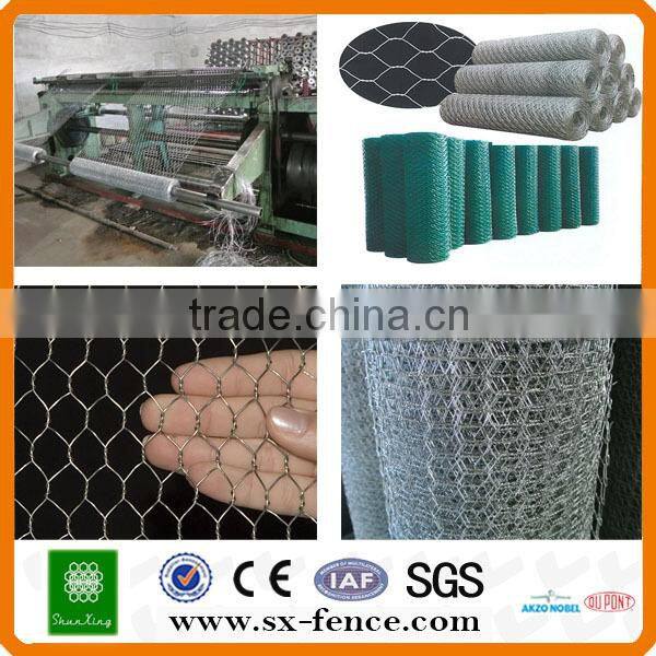 Galvanizedpvc coated chicken wire poultry mesh(ISO9001:2008 professional manufacturer)