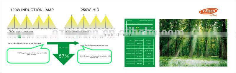 2015 150w new style high power lvd electrodeless induction lamp tunnel light