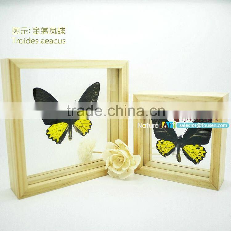 FOUSEN(011) Nature& Art natural real dried butterfly unique table frame