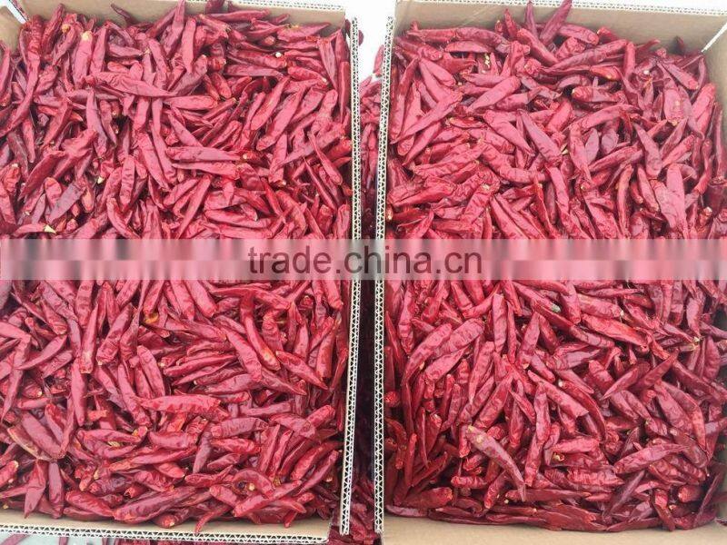 chilli