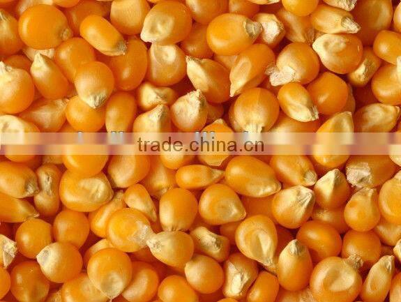 New type multi-function corn sheller and thresher//008613676951397