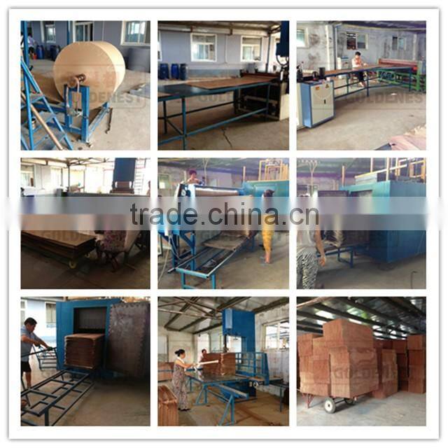 Goldenest high quality water evaporative cooling pad for poultry houses greenhouse for sale JC12-CU01