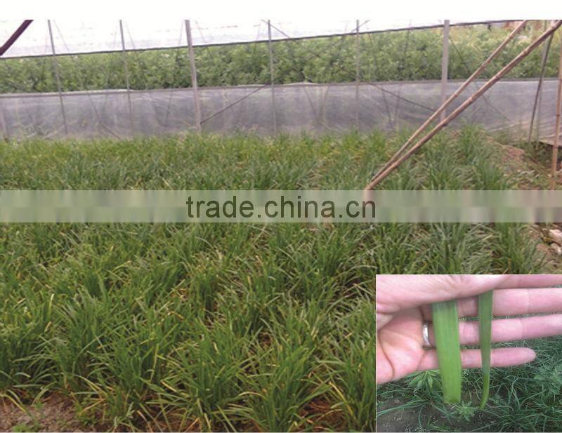 Tranlin Water-soluble fulvic acid fertilizer