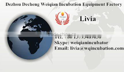 digital incubator thermometer