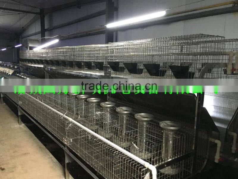 rabbit breeding cages indoor rabbit cages back-up two floors of rabbit cages