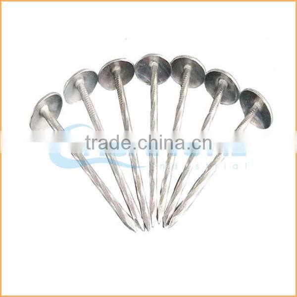 Top quality umbrella head screw rod roofing nails trusted Chuanghe suppliers from alibaba com