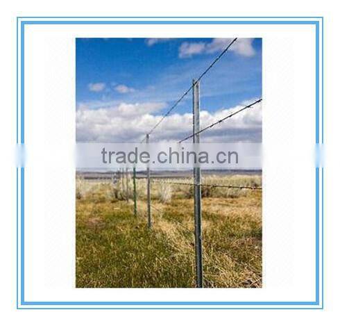 t fence post for sale (professional manufacturer)
