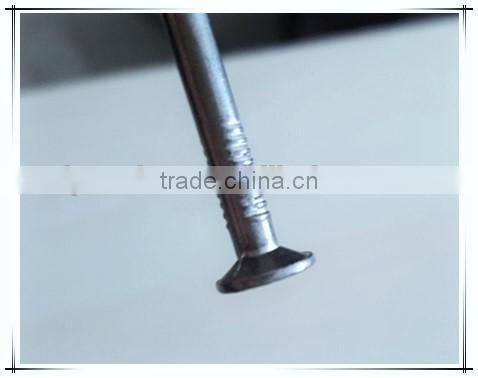 2.5" common nail professional product iron nails from china factory