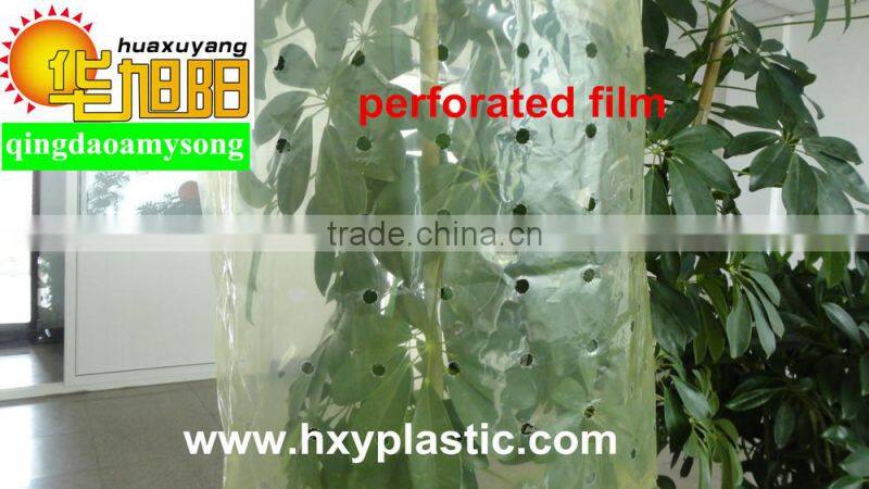 PE garden useTomato tube Green house packing in bag