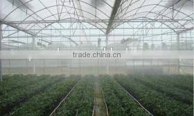 Greenhouse watering drip irrigation system