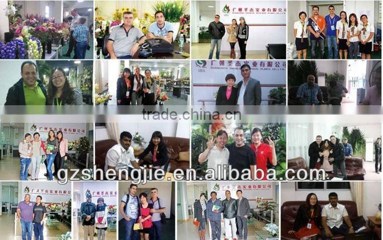 Professional manufacturer Telecommunication Tower