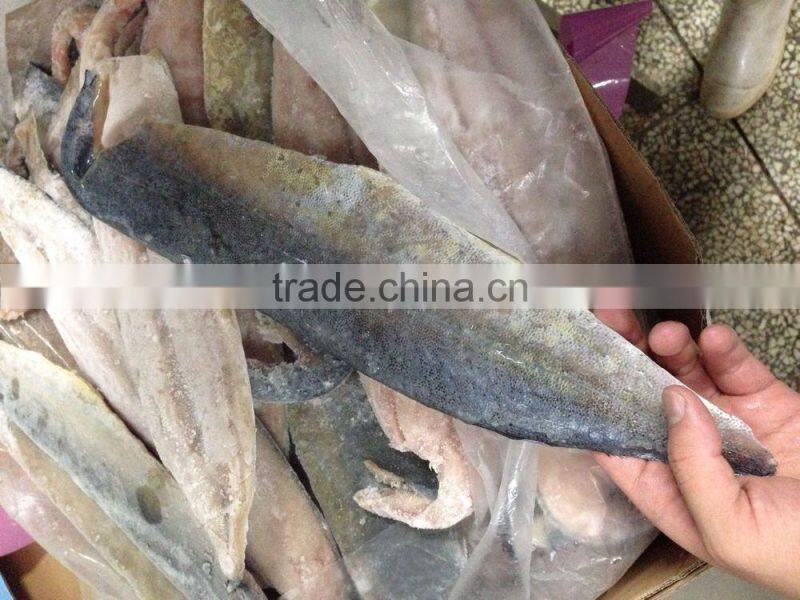 fast delivery sea frozen mahi mahi fillet with whole round