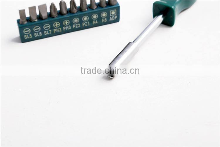 11PCS Precision Tool Kit with Plastic Handle