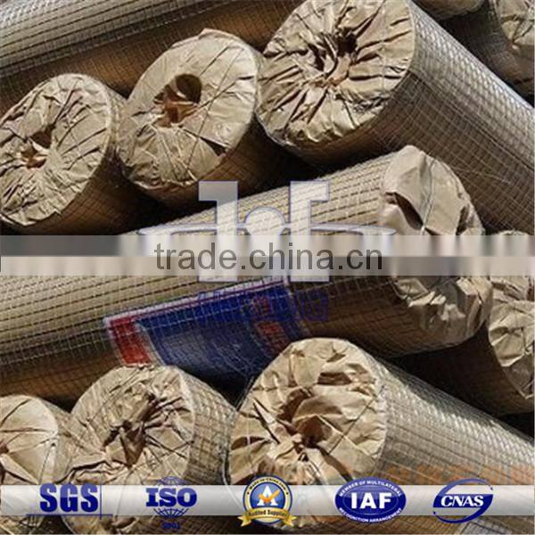 Galvanized Welded Wire Mesh for Wall Plaster Mesh