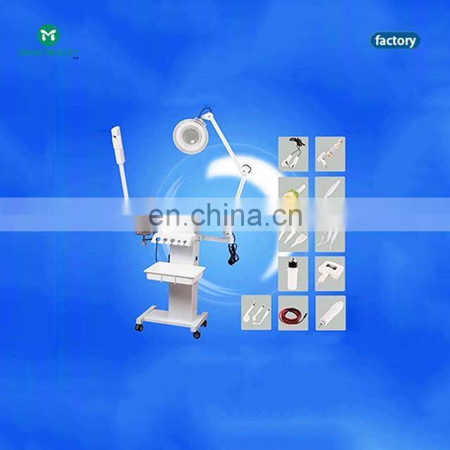 11 in 1 multifunctional beauty instrument/Ultrasonic beauty machine/facial steamer machine with CE certification