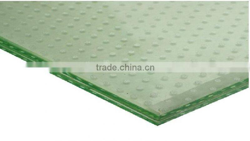 Anti-slip Glass/Anti-skid Glass