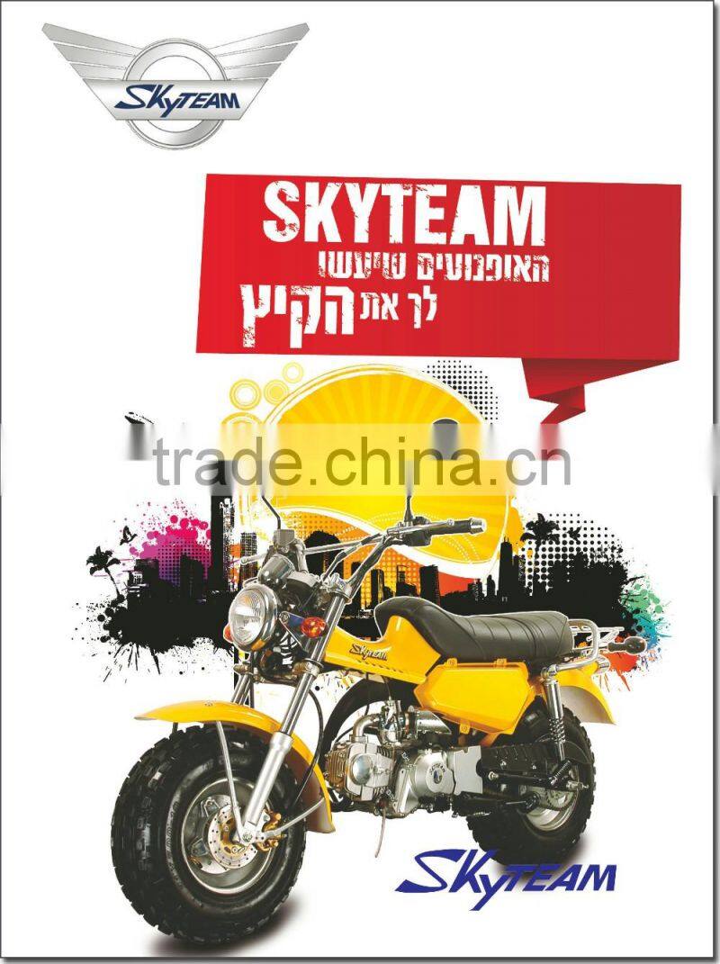 SKYTEAM 125CC 4 STROKE ST125-11 RV T-REX (EEC, EUROIII EURO 3 EPA approved)