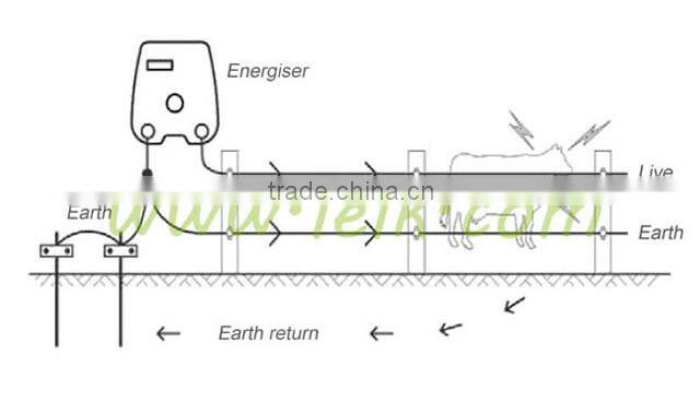 solar energiser electric fence for Cattle and cows
