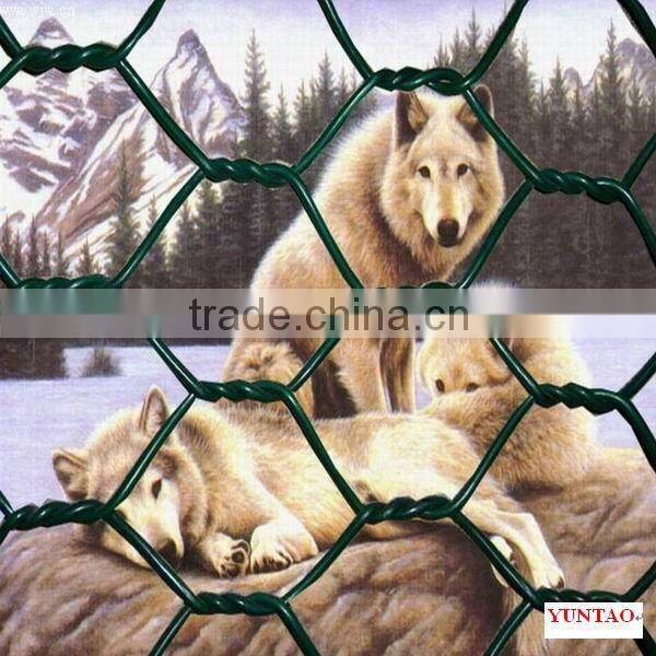 HOT SALE fish cage hexagonal wire mesh factory