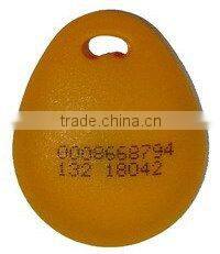 RFID Key Chain
