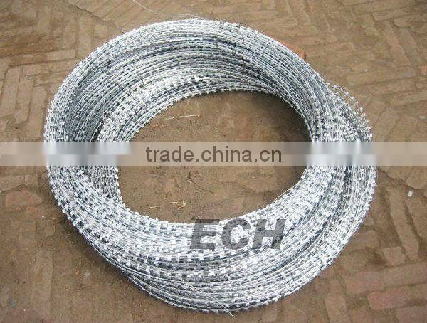 ECH galvanized razor barbed wire
